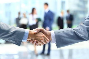 燕郊企業(yè)服務(wù)指南 衛(wèi)生許可證與知識產(chǎn)權(quán)服務(wù)詳解